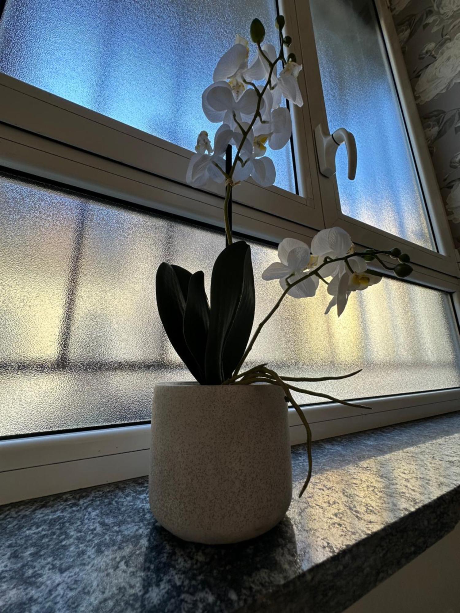 Flowers, A Cozy Suite In Milano Eksteriør billede